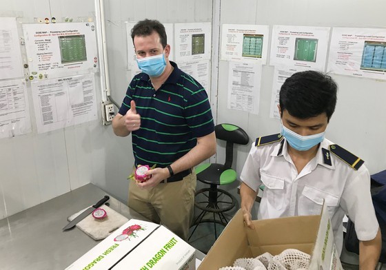 US to greenlight export of pomelos from Vietnam ảnh 1