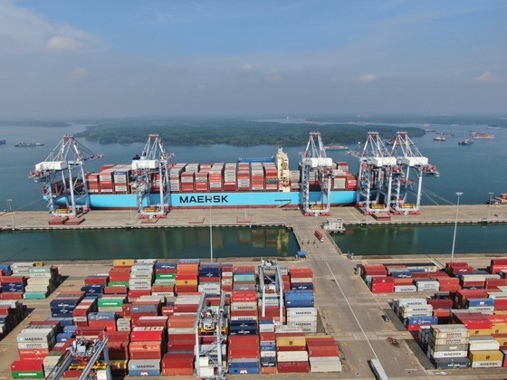 Cai Mep International Terminal receives ultra-large container ship ảnh 3