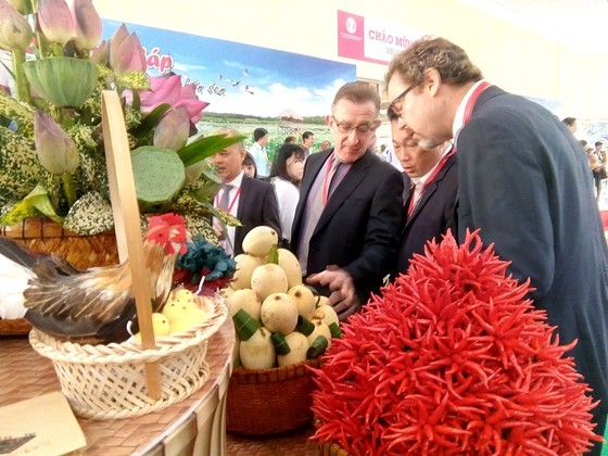 Investment attraction in Mekong Delta flourishes ảnh 1