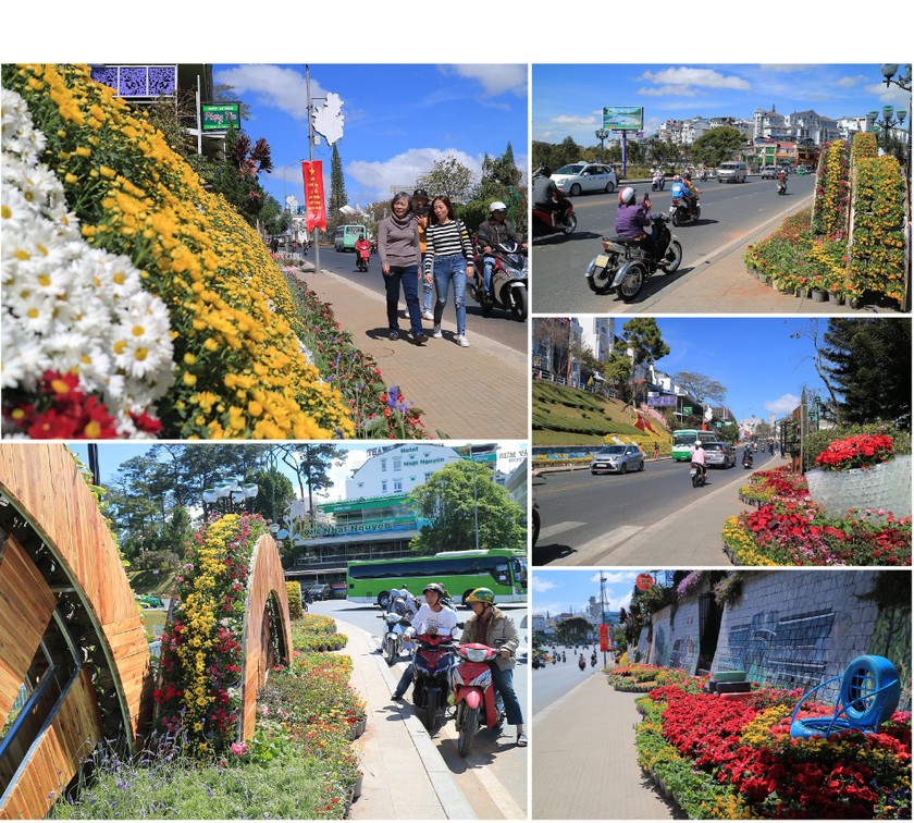 Lam Dong province ready for upcoming Da Lat Flower Festival ảnh 2