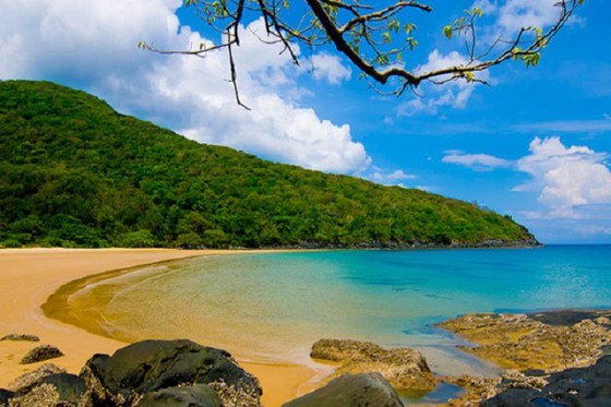 Con Dao Island: Developing tourism tied with preservation of natural heritage ảnh 1