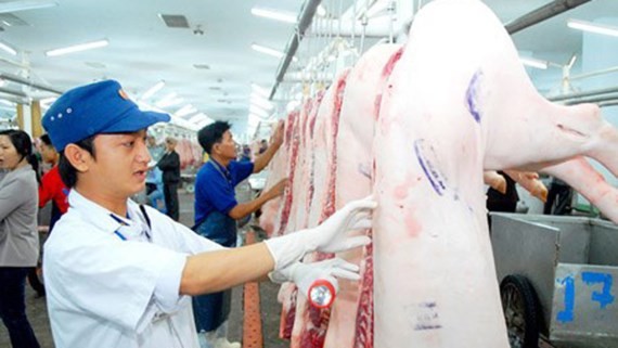 Food safety management board will issue animal quarantine certification since July 7 (Phhoto: SGGP)