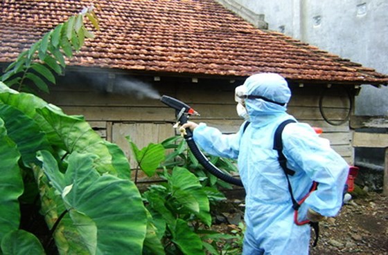 A medical worker sprays chemical to kill mosquitos and its larva (Photo: SGGP)