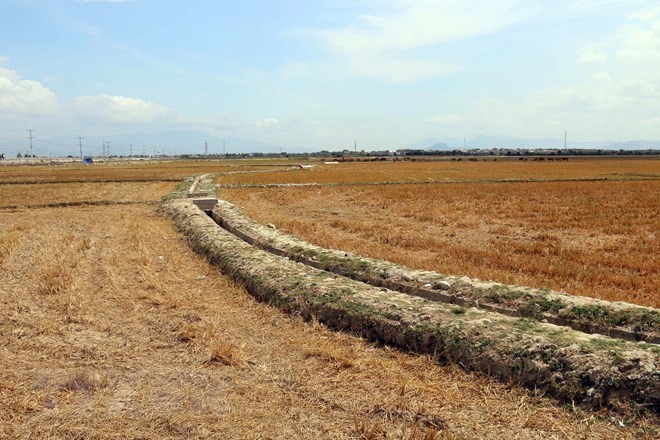 Land affected by drought in the south central province of Ninh Thuan (Photo: VNA)