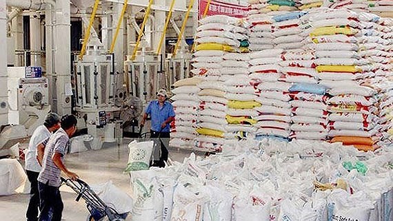 Vietnam’s rice exports jump in first six months