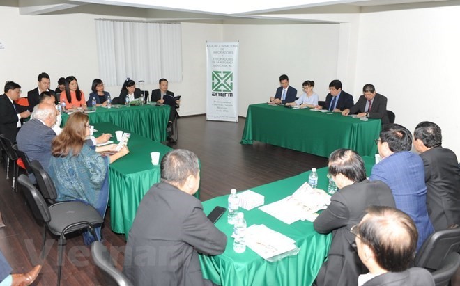 Vietnamese firms meet with the Association of Importers and Exporters of Mexico (ANIERM). (Photo: VNA)