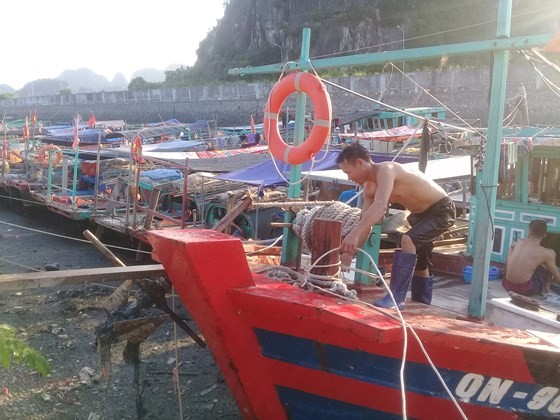 A fisherman in Quang Ninh anchors his boat (Photo: SGGP)