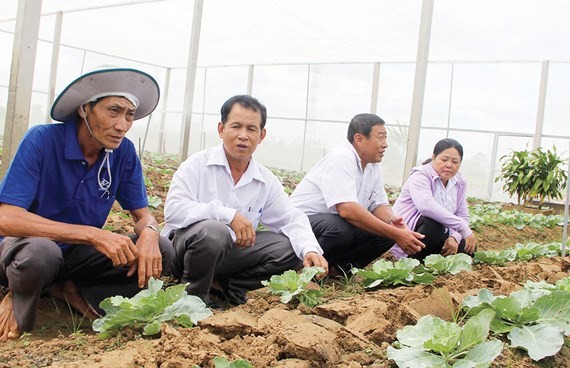These farmers in Soc Trang province have applied modern agricultural techniques to improve their income (Photo: SGGP)