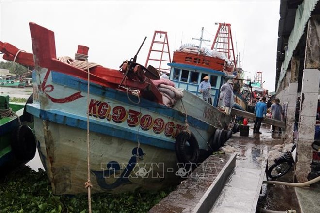 More drastic measures needed to erase yellow card on fisheries: Deputy PM