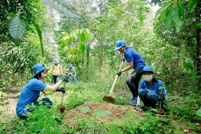 A programme to restore Dong Nai World Biosphere Reserve creates an abundant food source for elephants and other wild species. (Photo courtesy of the Gaia Read)