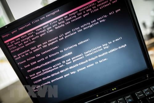 Over 3,100 cyber attacks hit Vietnam in six months