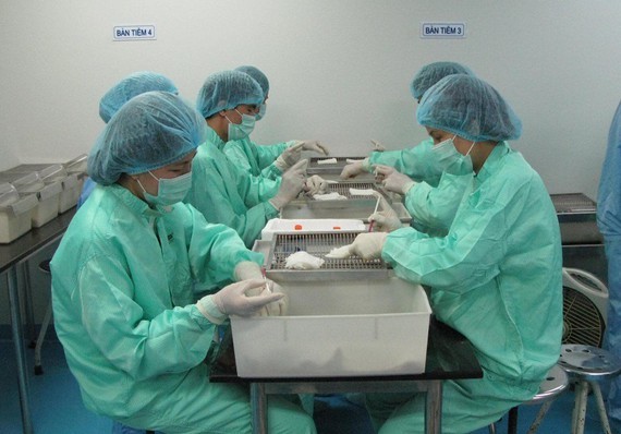 Covid-19 vaccine being trialed on monkeys in Vietnam