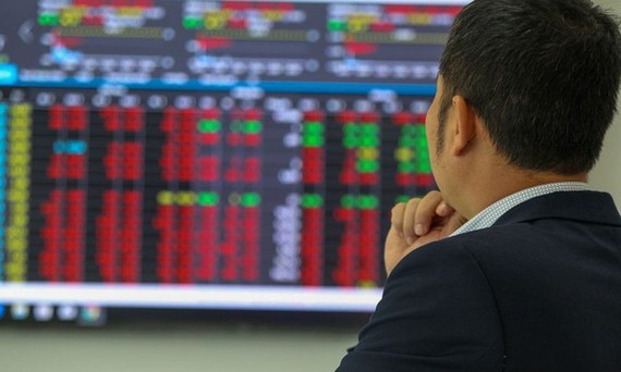New investors must prepare for failure in stock market ảnh 1 New investors must prepare for failure in stock market ảnh 1
