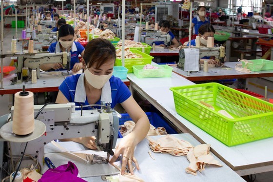 Vietnamese goods displayed in over 200 countries and territories ảnh 1