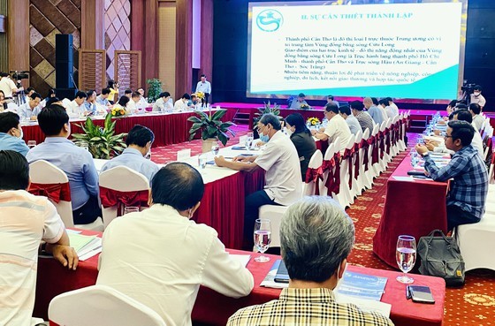 Center hoped to help link, consume agricultural products in Mekong Delta ảnh 1 Center hoped to help link, consume agricultural products in Mekong Delta ảnh 1