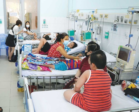 Dengue fever in Ho Chi Minh City prompts red alerts ảnh 1 Dengue fever in Ho Chi Minh City prompts red alerts ảnh 1