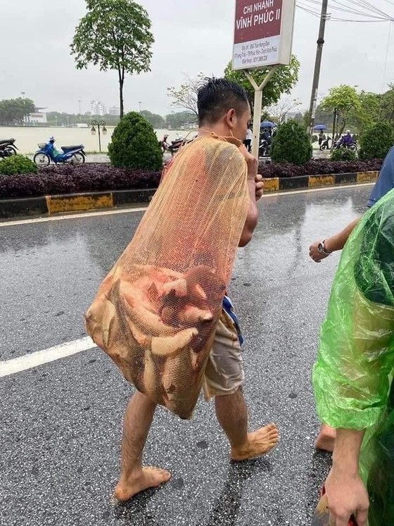 Heavy rain triggered flooding causes traffic snarl-ups in Northern Vietnam ảnh 3 Heavy rain triggered flooding causes traffic snarl-ups in Northern Vietnam ảnh 3