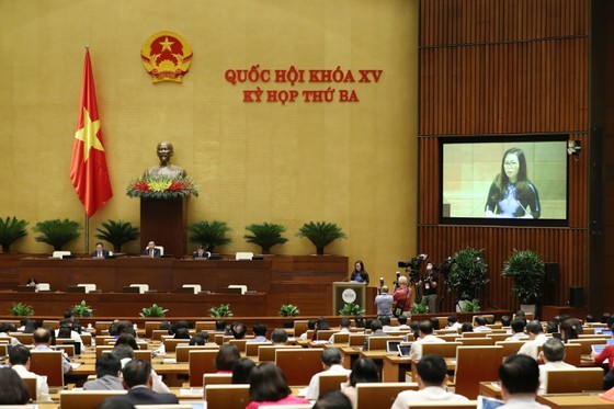 Foreign investors not allowed to co-own port, airports: former HCMC Secretary ảnh 1 Foreign investors not allowed to co-own port, airports: former HCMC Secretary ảnh 1
