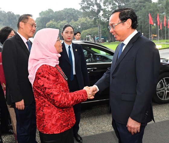 Singapore partners with Ho Chi Minh City’s development: Singapore's President ảnh 4