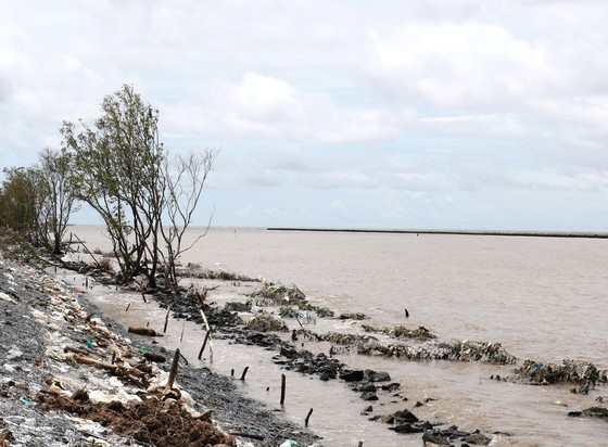 Mekong Delta declares emergency situation of sea dyke landslide