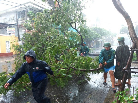 Storm Molave leaves 83 dead, missing in Central Vietnam 