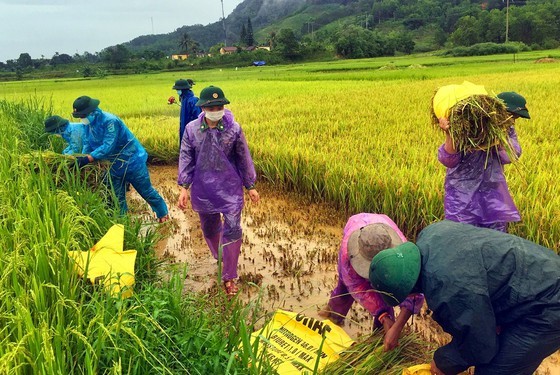 Conson brings power outages, flooding in Central region ảnh 14