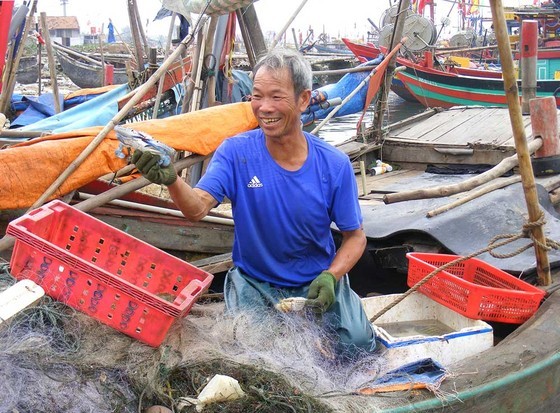 Bustling rhythms at fishing villages in Central region ảnh 3 Bustling rhythms at fishing villages in Central region ảnh 3