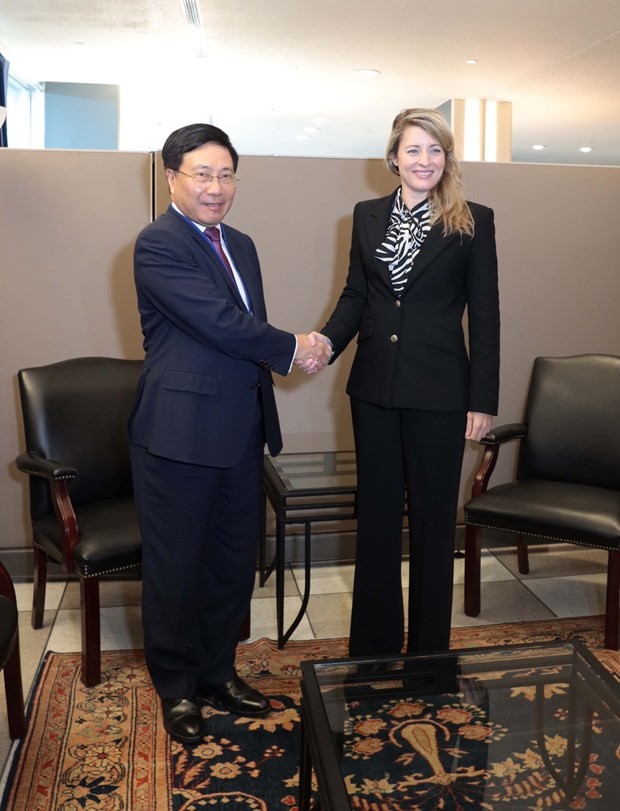 Vietnam promotes cooperation with Cuba, Canada, Comoros ảnh 3 Vietnam promotes cooperation with Cuba, Canada, Comoros ảnh 3