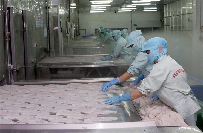 Tra fish being processed by workers at Bien Dong Seafood Co in the southern city of Can Tho. (Photo: VNA/VNS)
