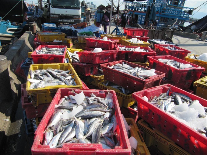 Vietnam to curb illegal fishing ảnh 1