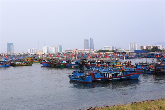 Fishing boats dock at a port in central Vietnam. All fishing boats must run cruise tracking device for 24-hours a day when at sea to prevent illegal fishing. (Photo: VNS)