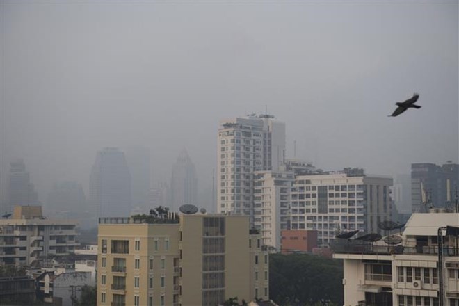 Smog has covered Bangkok in recent weeks (Photo: AFP/VNA)