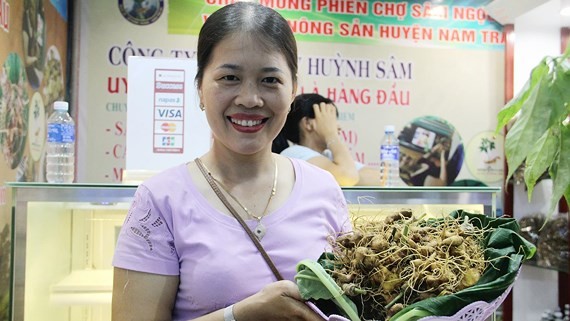 One place to gain access to authentic Ngoc Linh ginseng is at the monthly ginseng fair in Nam Tra My district