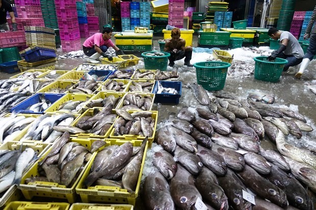 Duty-free treatment will be revoked for all Thailand’s seafood exports to the US over labour issues. (Photo: Reuters)