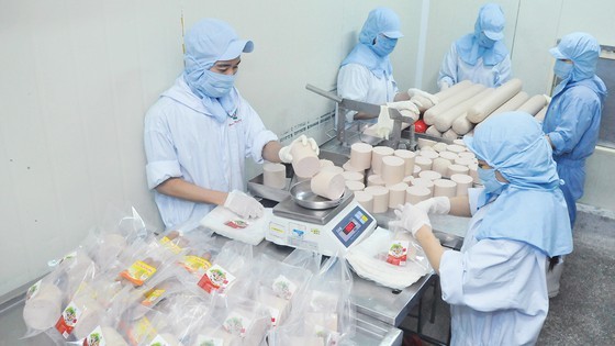 Manufacture of necessities in a HCMC-based factory