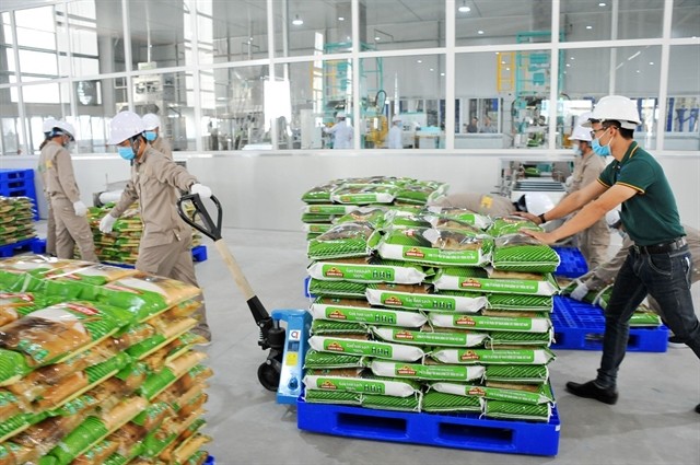 In July, Vinaseed – a member of The PAN Group, exported VJ Pearl Rice and RVT fragrant rice to the Netherlands and the Czech Republic. — Photo courtesy of Vinaseed