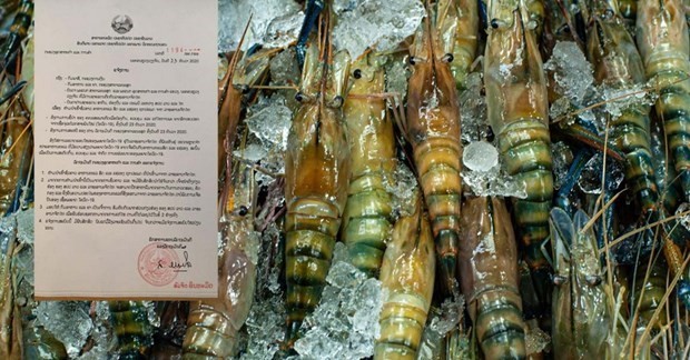 Laos has temporarily banned the import of seafood from Thailand after a new outbreak of COVID-19 hit the kingdom (Photo: laotiantimes.com)