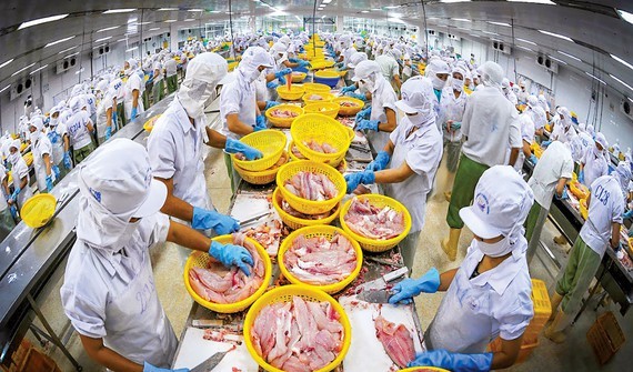 Export targets difficult to meet under pandemic ảnh 1