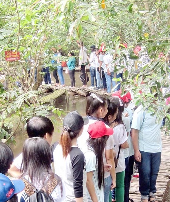 Students visit Xeo Quyt in Dong Thap province Photo: SGGP