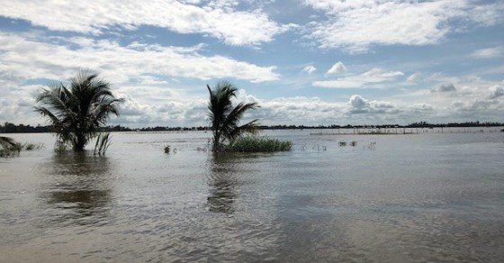 Mekong urged to deal with floods