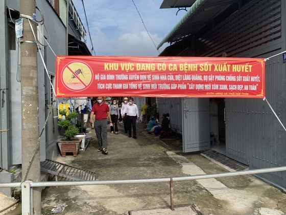 HCMC launches dengue fever prevention campaign ảnh 6