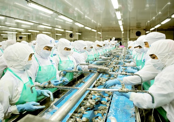 Mekong Delta provinces accelerate seafood exports ảnh 1 Mekong Delta provinces accelerate seafood exports ảnh 1