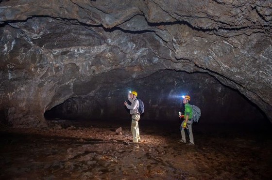 Many branchwork caves discovered at Volcanic Cave in Dak Nong ảnh 2 Many branchwork caves discovered at Volcanic Cave in Dak Nong ảnh 2