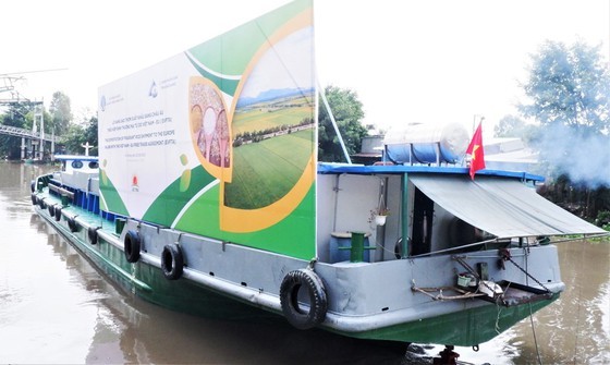 The first batch of fragrant rice in An Giang Province is ready for export to the EU. (Photo: SGGP)