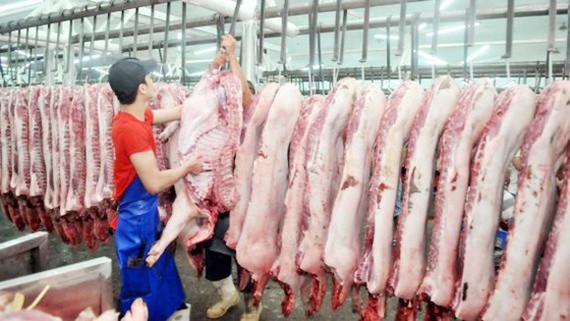 Enterprises participated in the market stabilization program are allowed to increase their selling prices of pork by VND6,000-VND15,000 per kilogram. (Photo: SGGP)
