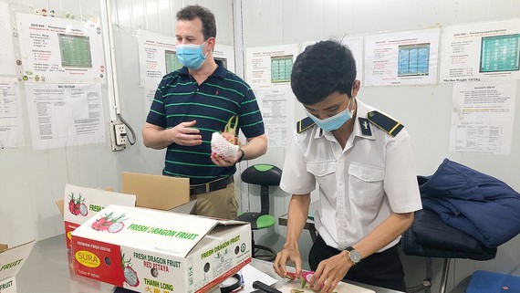Fresh fruits are checked for residues of plant protection drugs and traced their origin before being exported. (Photo: SGGP)