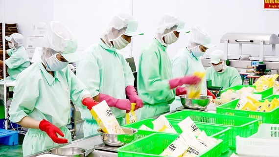 US market attracts Vietnamese enterprises ảnh 1