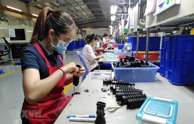Foreign enterprises place trust, raise investment in Dong Nai ảnh 1