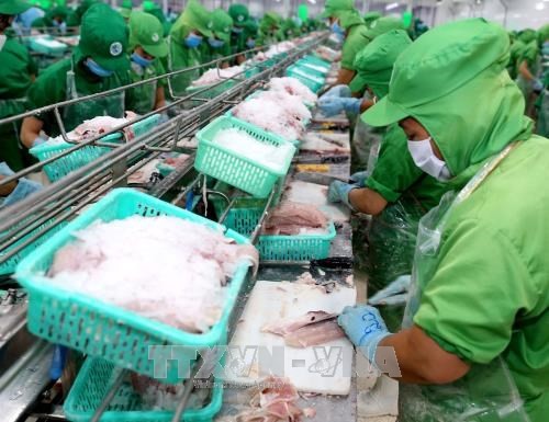 Vietnam’s frozen tra fish fillets will be subject to antidumping duties of 2.39 – 7.74 USD per kilogramme from the United States. (Photo: VNA)