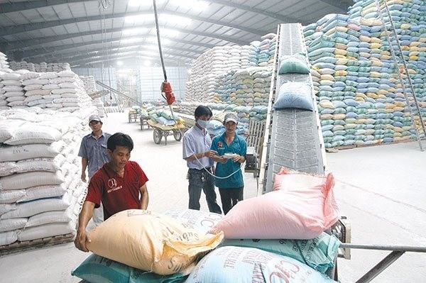 The World Rice Conference is an important opportunity for Vietnamese businesses to meet and seek partners in trading rice and to advertise Vietnamese rice products. (Photo: baodautu.vn)